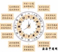 养生长寿健康表