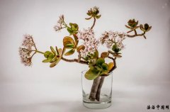 һƪѵõľģٶᣬ̫!