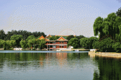 ----精诚合作--招募精英----