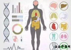 《人体器官衰老时间表》别等坏了再去养!送你一套全身