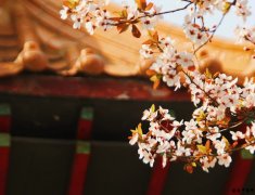 古时十二个月的雅称,美极了!