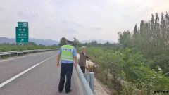 <strong>七旬老人高速公路牧羊 民警耐心劝说保安全</strong>