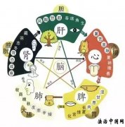 如何理解中医的心、肝、脾、肺、肾?